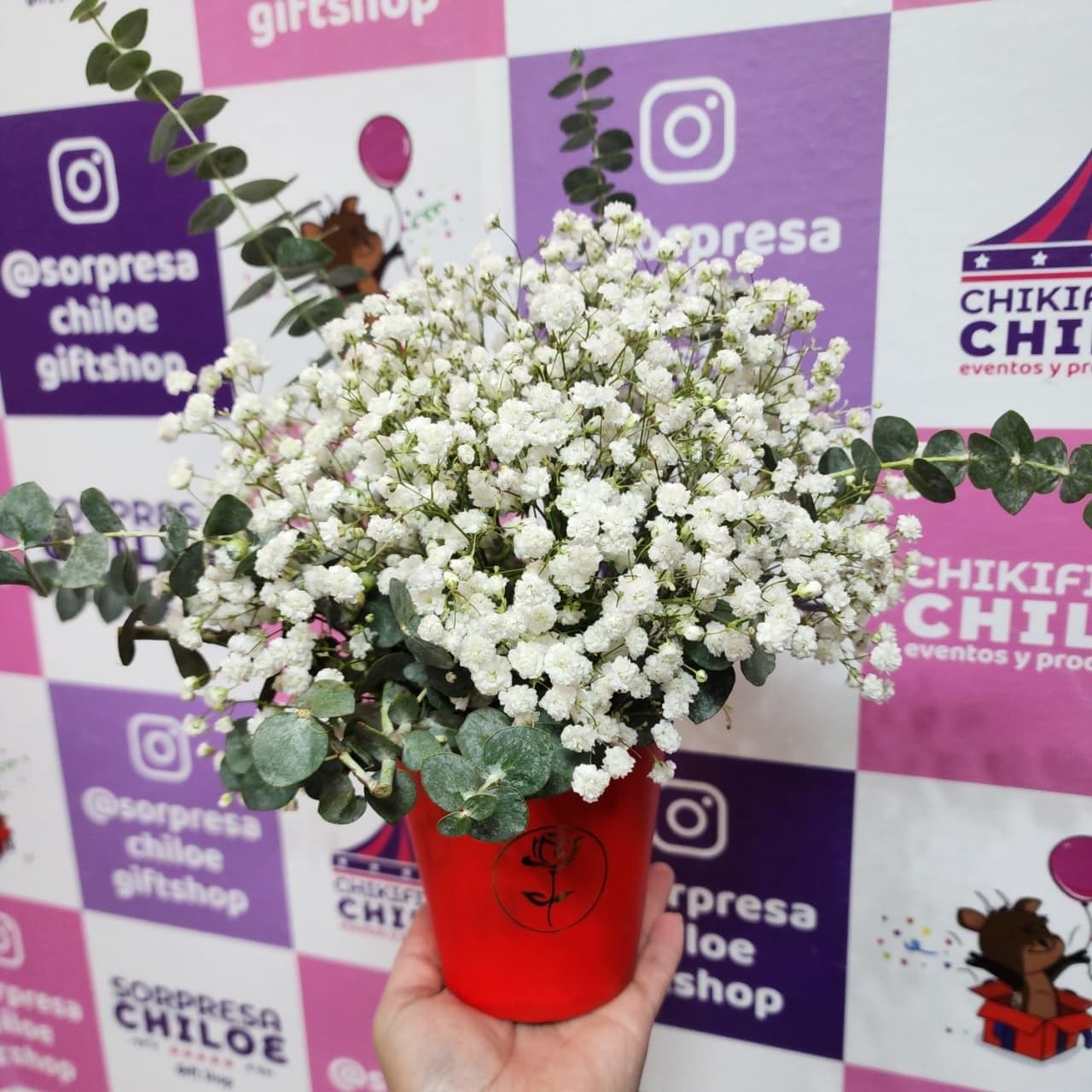 White Dream miniatura 2
