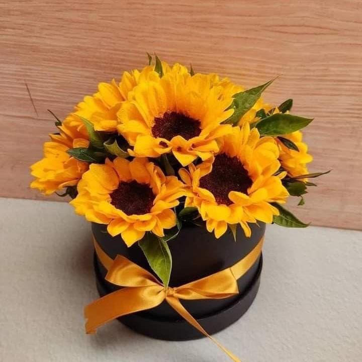 Box Girasol miniatura 1
