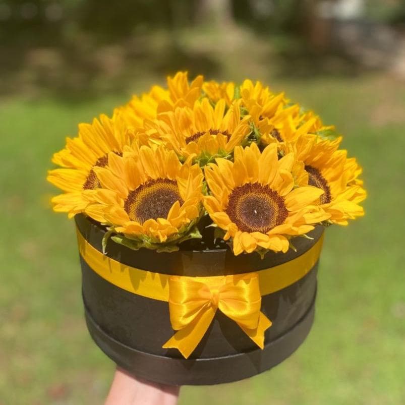 Box Girasol miniatura 2