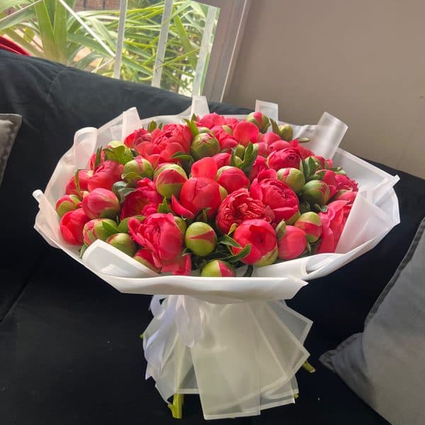 Peonias miniatura 1