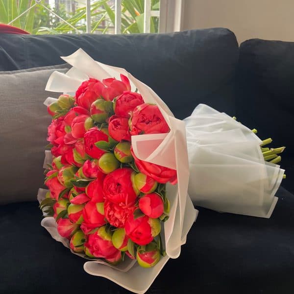 Peonias miniatura 2