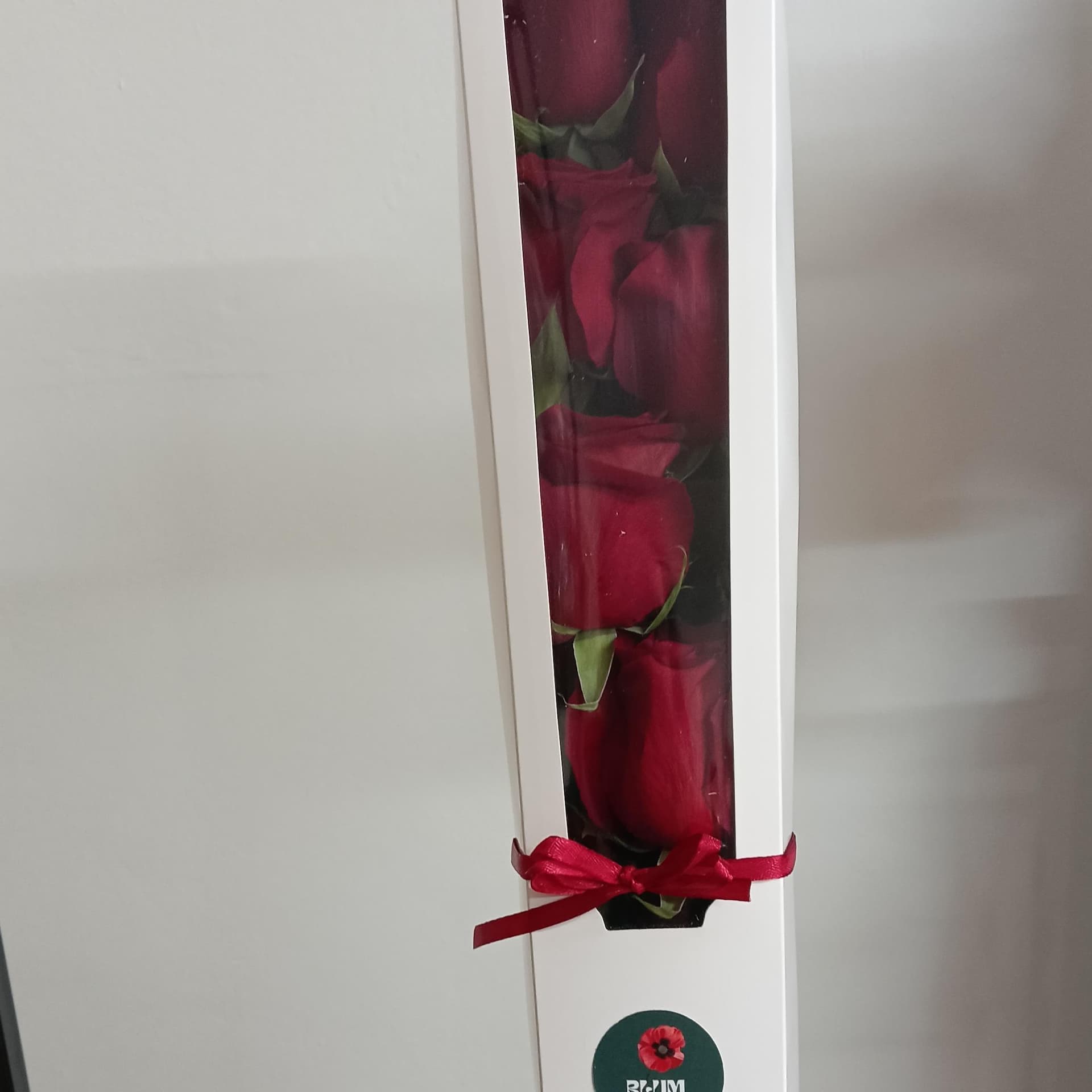 Caja 6 rosas miniatura 3