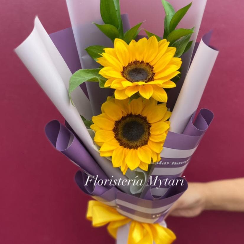 Doble Sol 🌻🌻 miniatura 2