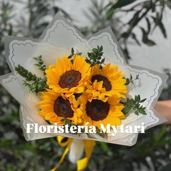 Girasoles 🌻 miniatura 2