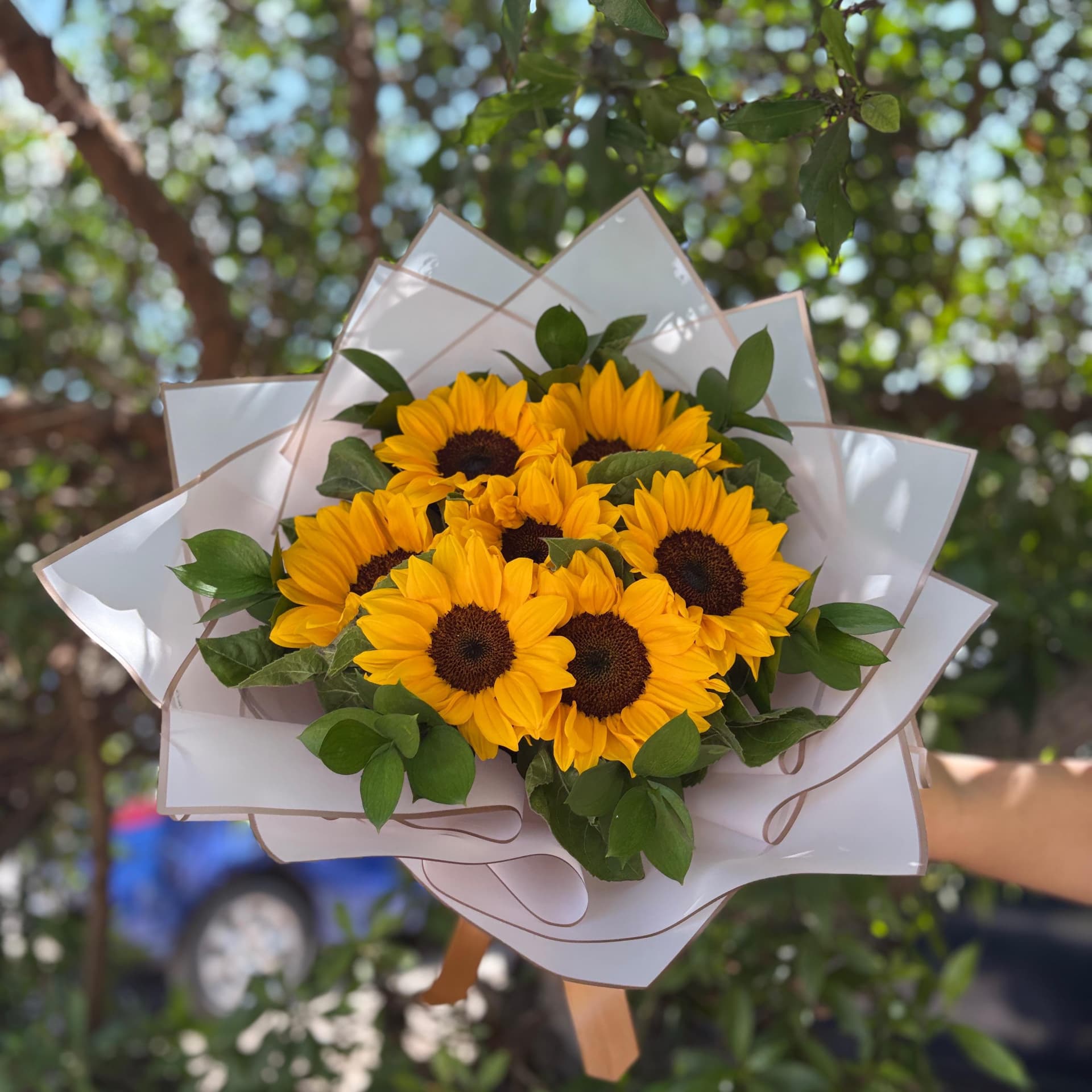 Girasoles 🌻 miniatura 1