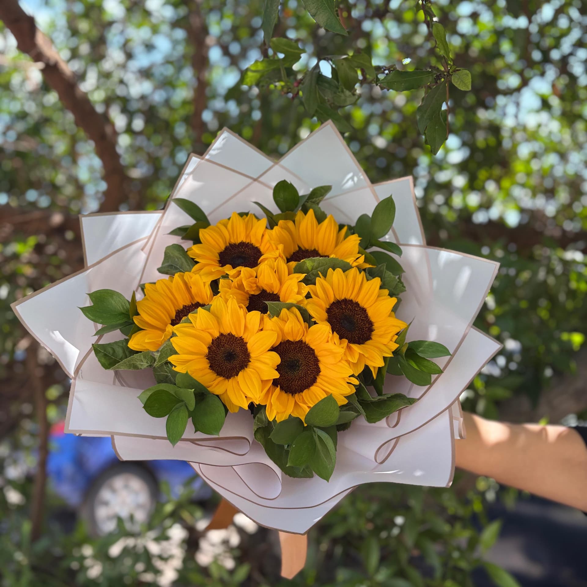 Girasoles 🌻 miniatura 2