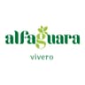 Alfaguara Vivero