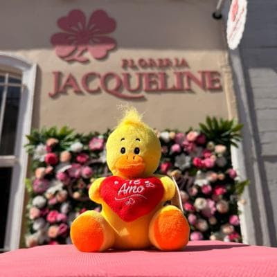 Pato Amor miniatura 2