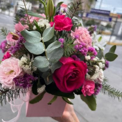 Rosa Ilusión miniatura 3