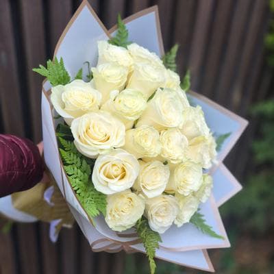 Rosas Pureza miniatura 3