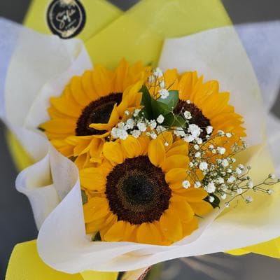 "Brilla Bonito" 🌻 miniatura 1