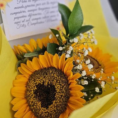 "Brilla Bonito" 🌻 miniatura 4