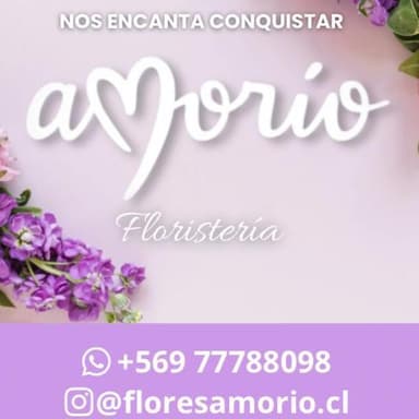 Logo de Amorío flores y más