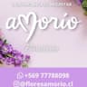 Amorío flores y más