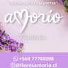 Amorío flores y más