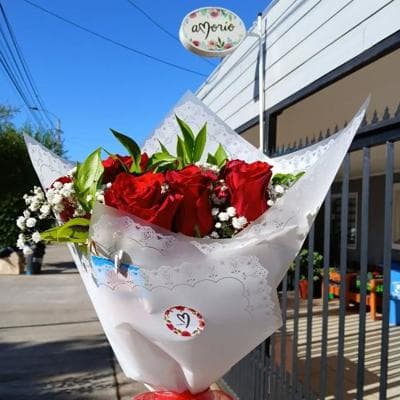 12 rosas miniatura 1