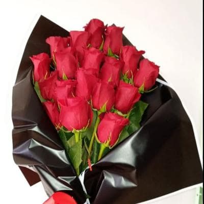 12 rosas miniatura 2