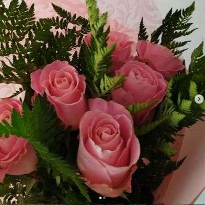 12 rosas miniatura 4