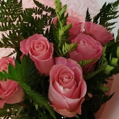 6 rosas miniatura 2