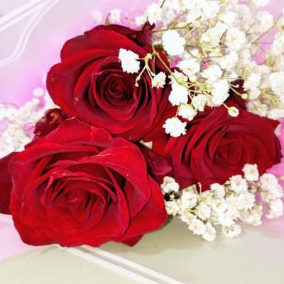 Rosas en nieve miniatura 3