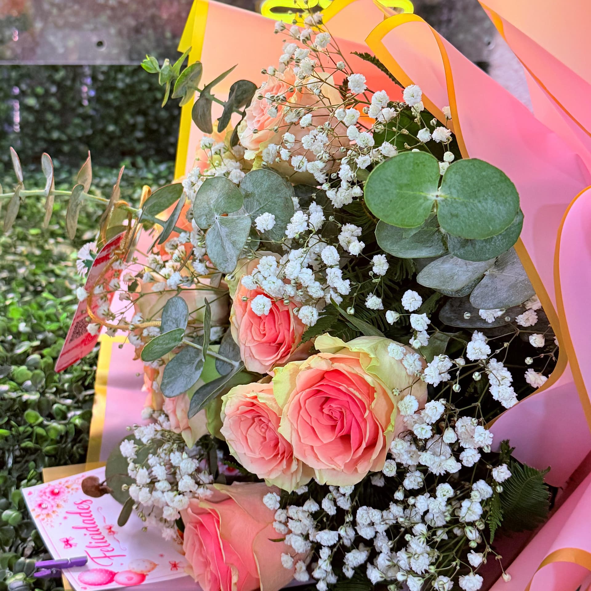 Rosas rosadas miniatura 1