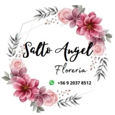Logo de Florería Salto Ángel