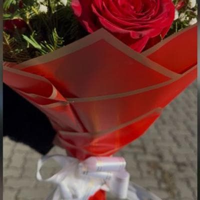 Sol de Rosas. miniatura 2