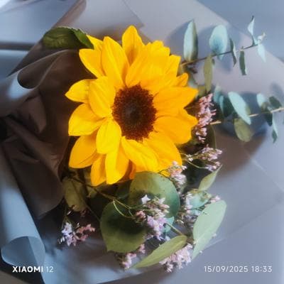 Girasol 🌻 miniatura 2