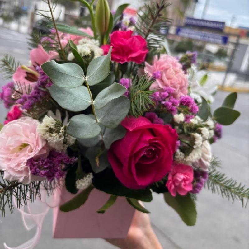 Rosa Ilusión miniatura 3