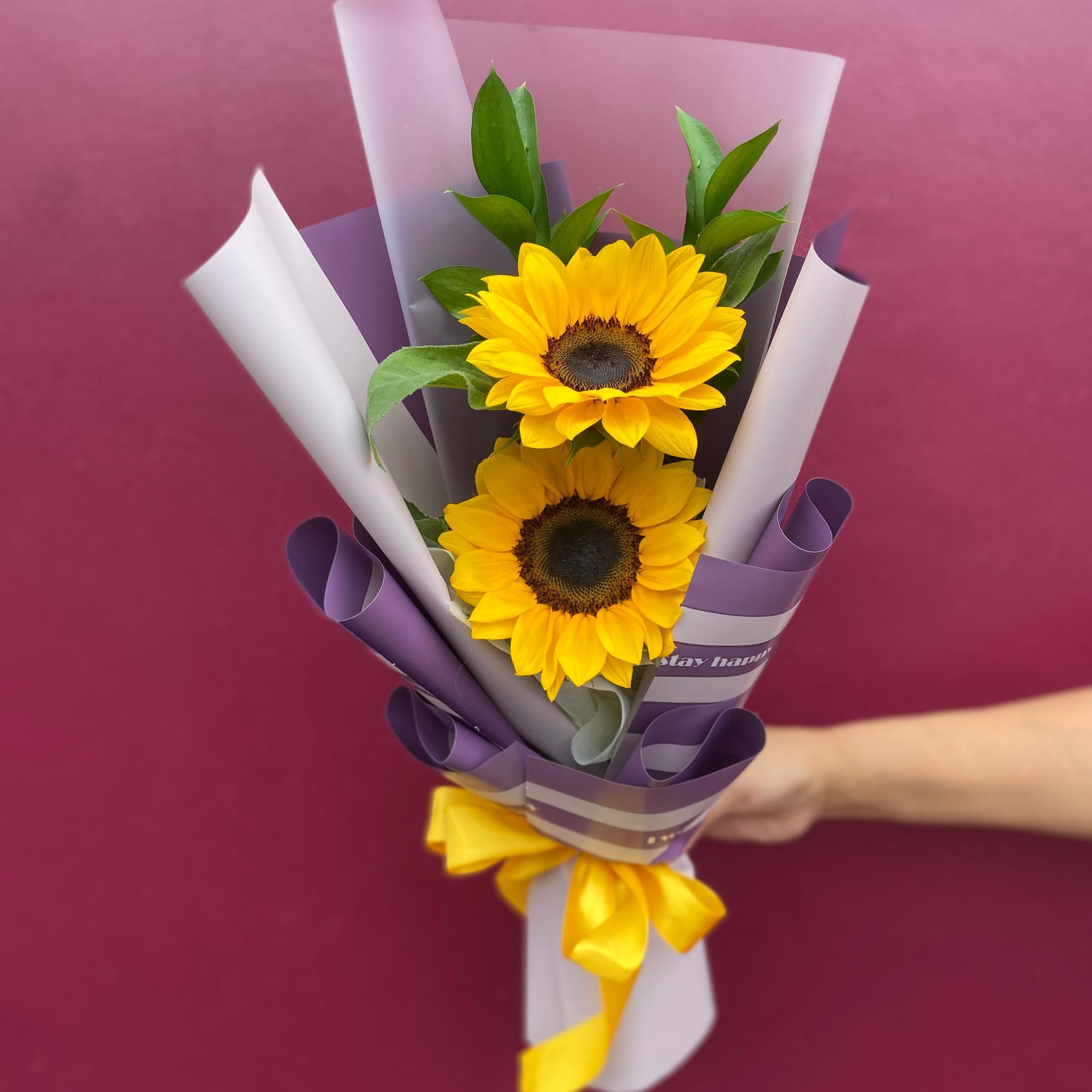 Doble Sol 🌻🌻 - Imagen 1