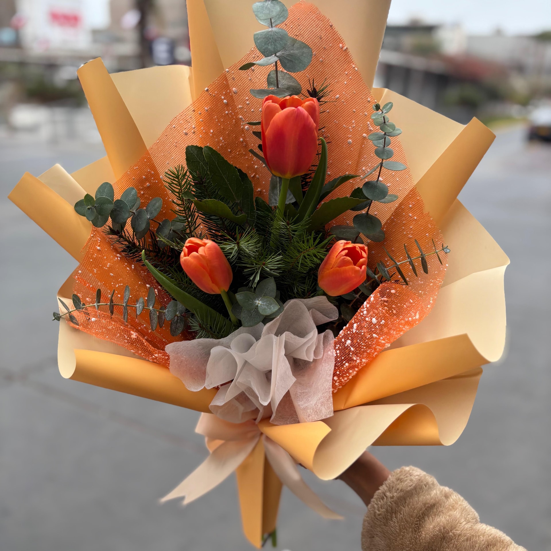 Tulipán - Imagen 1