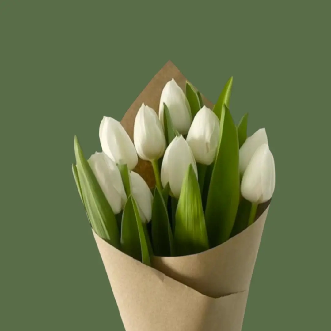 Tulipanes Premium