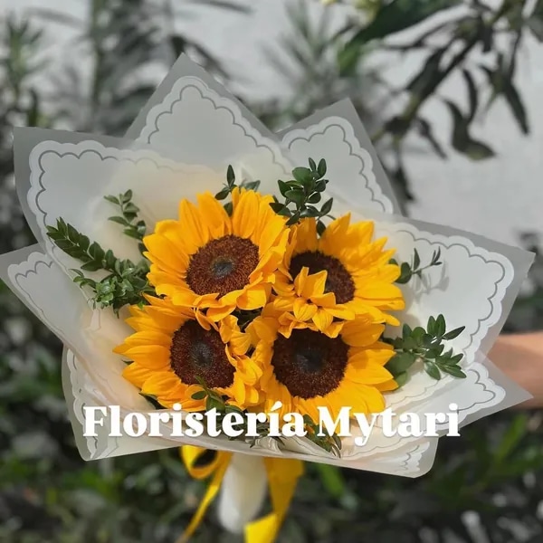 Girasoles 🌻
