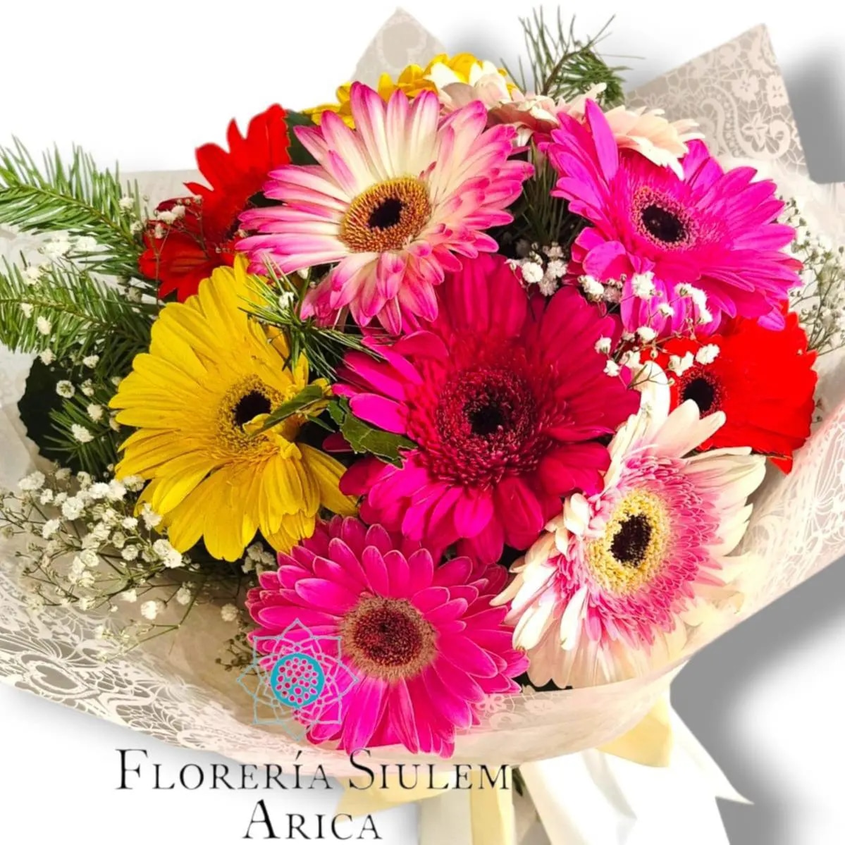 Gerberas