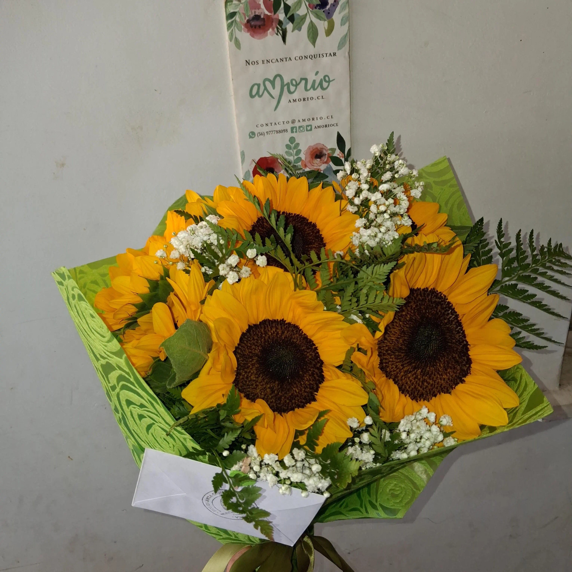 6 girasoles
