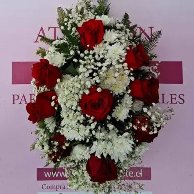 Cojín rosas y mables