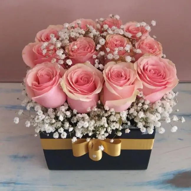 Box Pinck