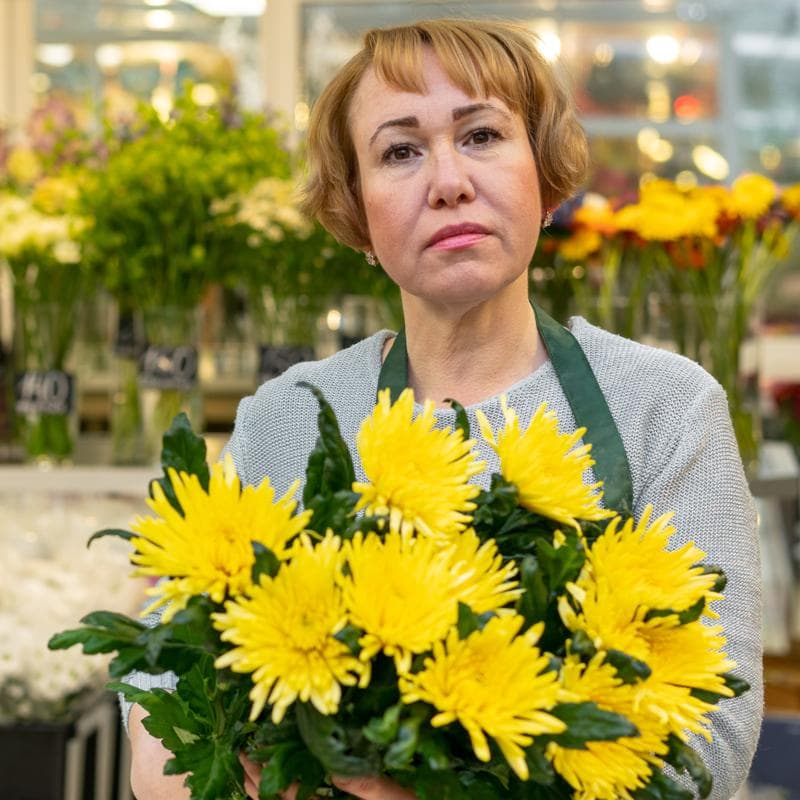 Temporal en Chile 2026: cómo afecta la entrega de flores en Coquimbo y Atacama