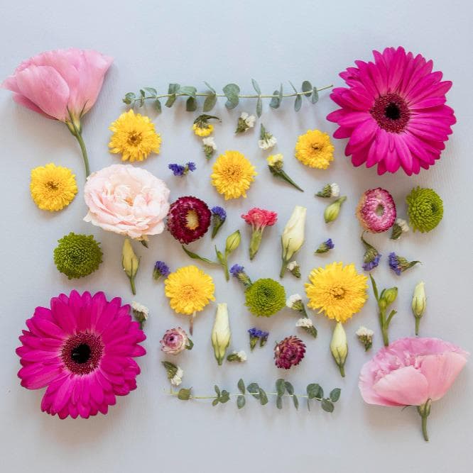 Filtros más precisos en Red Floral: así mejoramos tu búsqueda de flores
