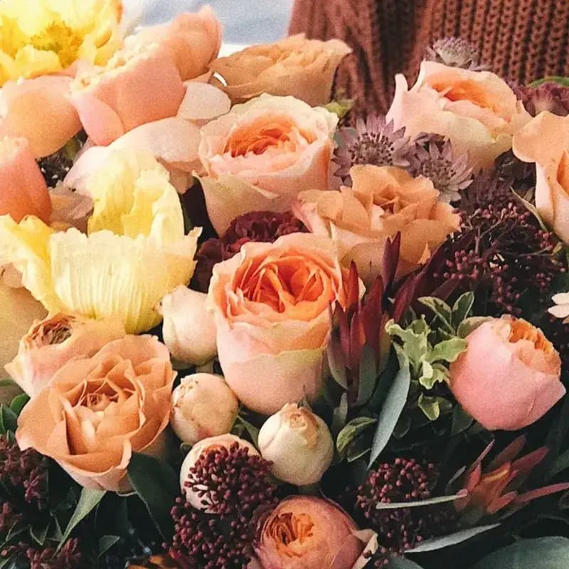 Flores que Expresan Amor y Amistad