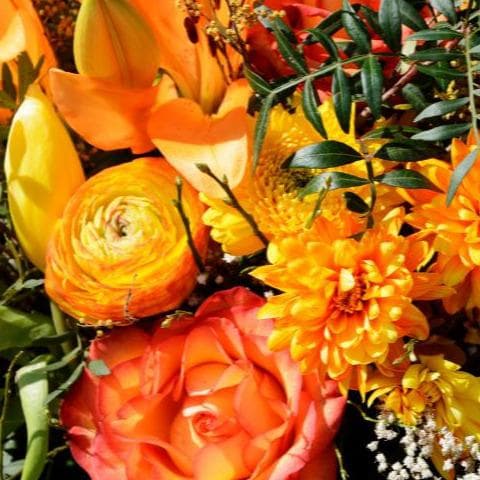 Flores que Ayudan a Mejorar tu Estado de Ánimo