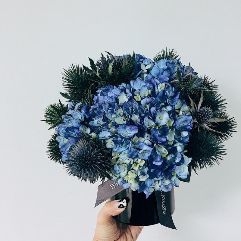 Emprender con un Vivero: Guía Paso a Paso