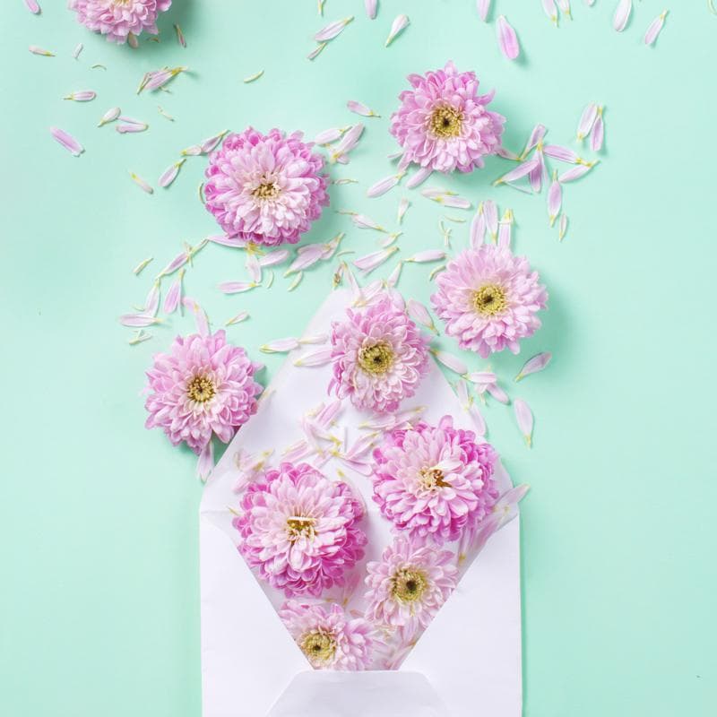 Cómo Gestionar el Inventario Floral en Temporada de Fiestas