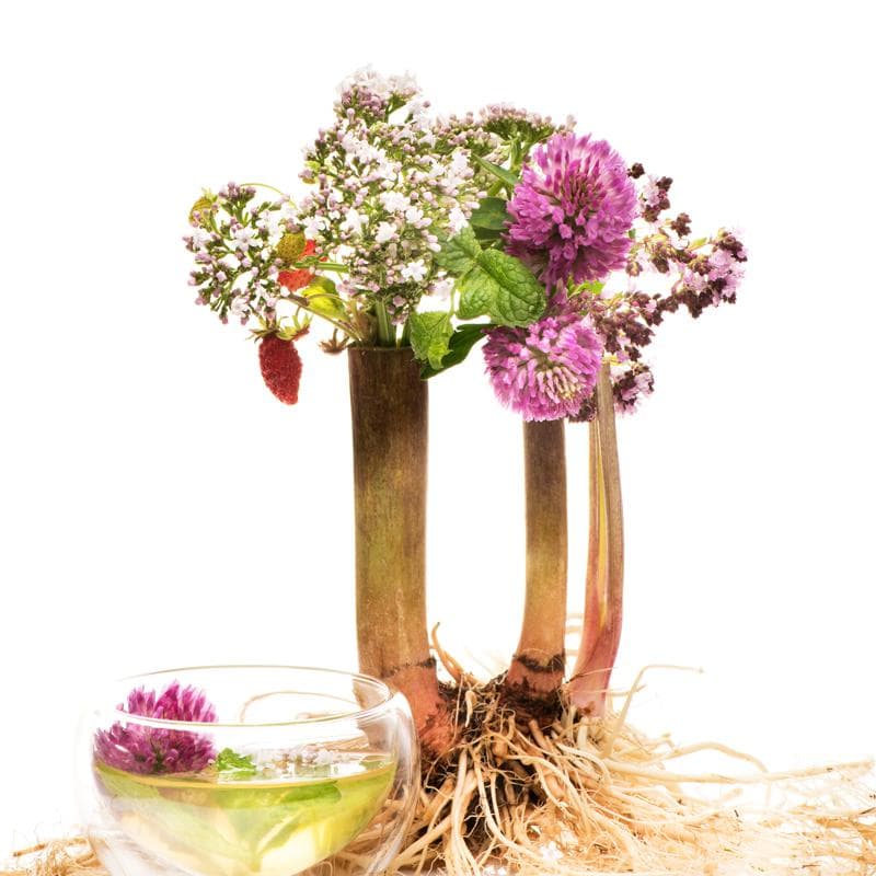 Trucos y consejos para vender más flores