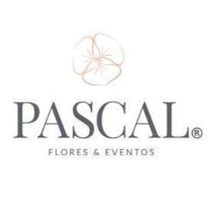 Red Floral en Temuco: Florería Pascal