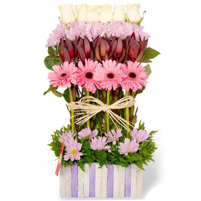 Estelita Gerberas Rosadas - Imagen 1