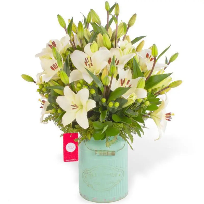 Siena Blanco-Lilium Blancos e Hypericum