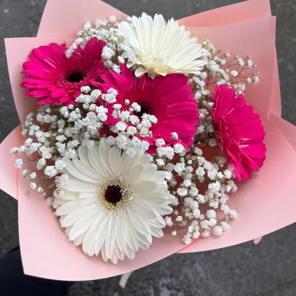 Quinteto de Gerberas