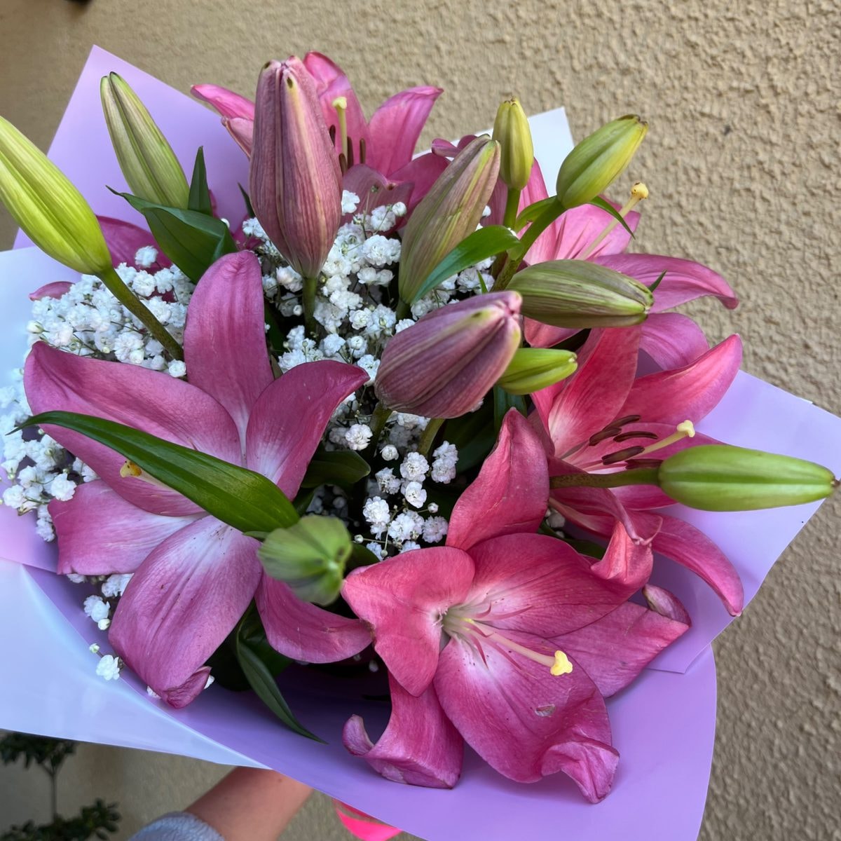 Mix lilium - Imagen 1