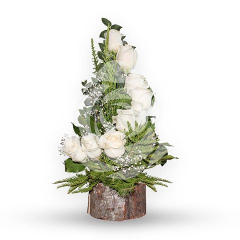 Espiral 8 rosas Blancas - Imagen 1